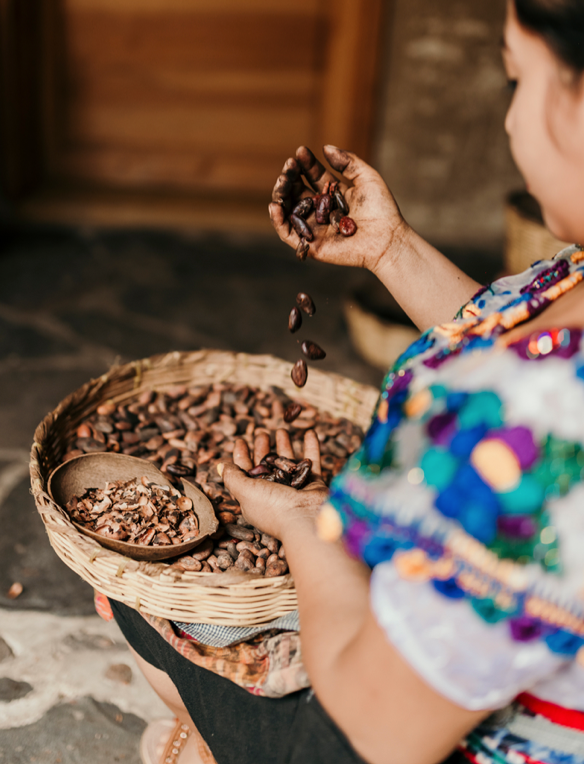 Ceremonial Cacao beans from Guatemala